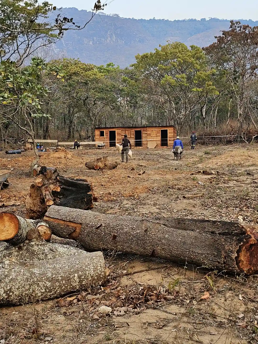 Cleared plot with setting-out strings and a site cabin, mountains behind